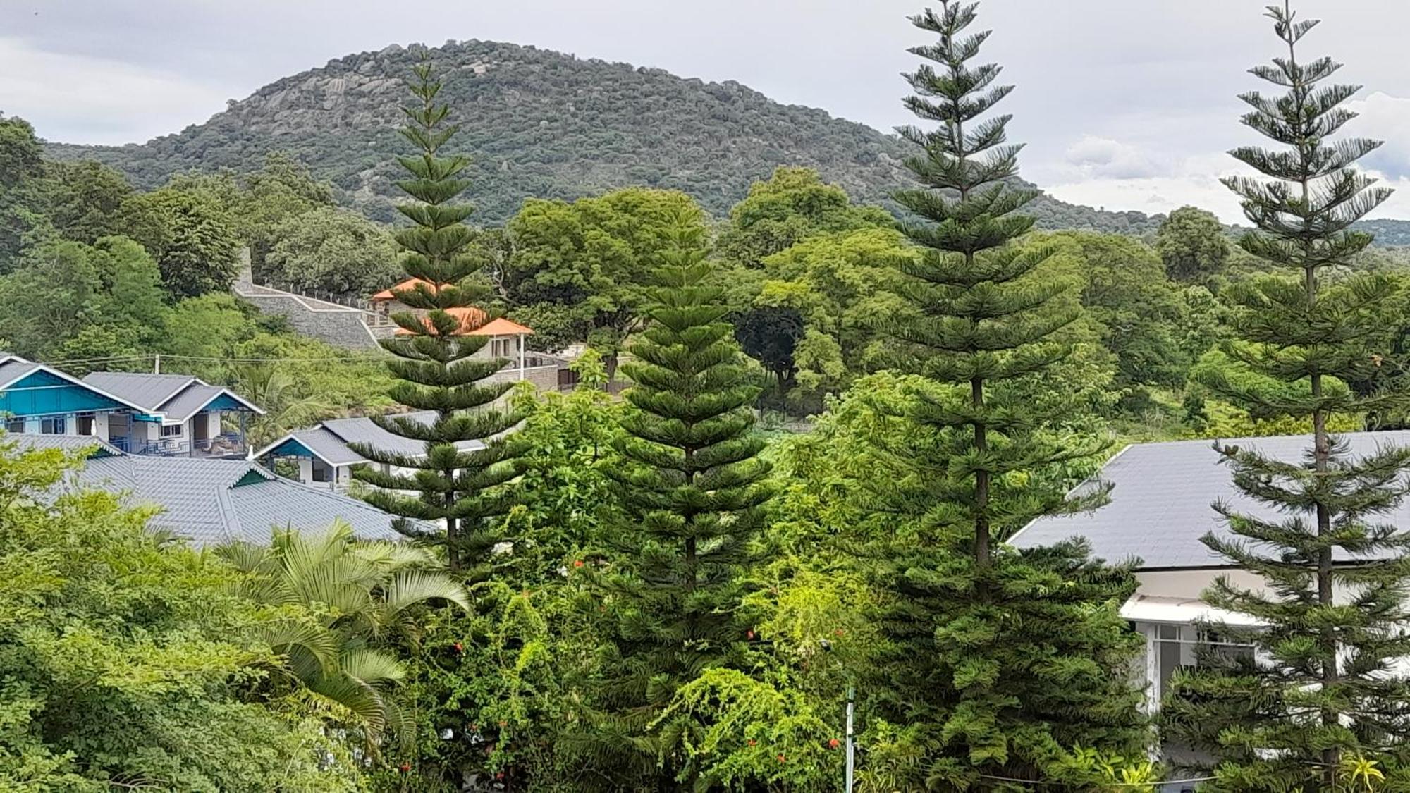 Hotel Mgm Whispering Wind'S Yelagiri Exterior foto